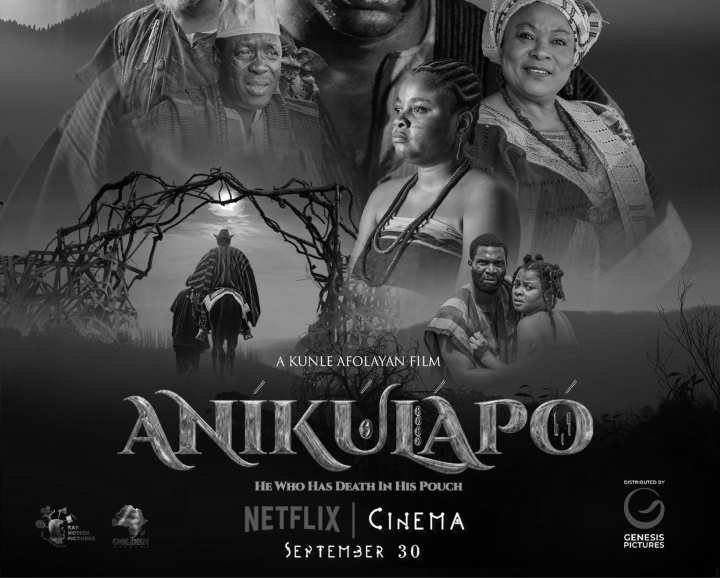 Kunle Afolayan to Direct ANIKULAPO photo 2