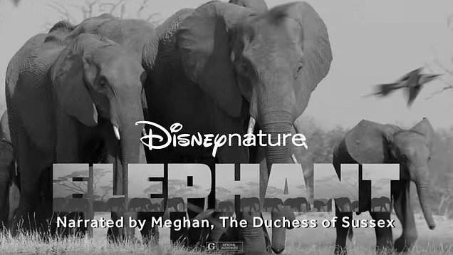 Duchess Of Sussex Meghan Markle, To Feature In Disney Documentary On Elephants photo 1
